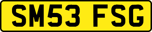 SM53FSG