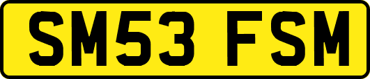 SM53FSM