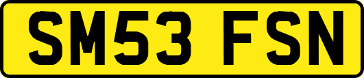 SM53FSN