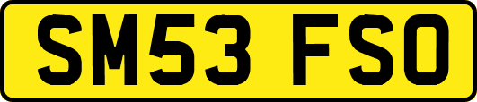SM53FSO