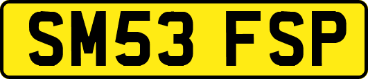 SM53FSP