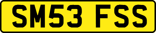 SM53FSS