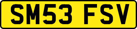 SM53FSV