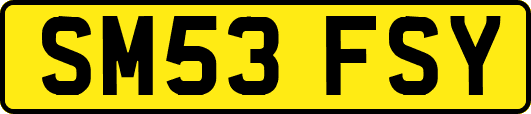 SM53FSY