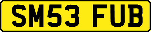 SM53FUB