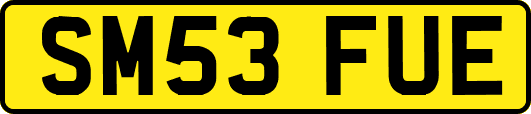 SM53FUE
