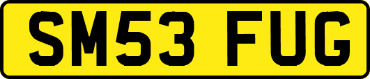 SM53FUG