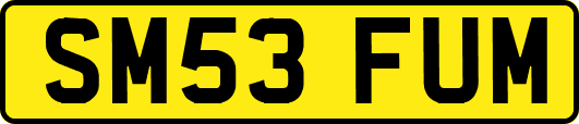SM53FUM
