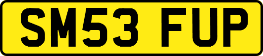 SM53FUP