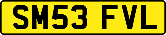SM53FVL