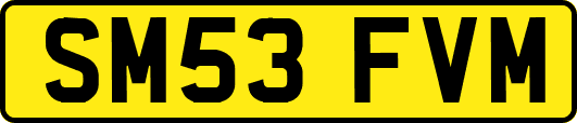 SM53FVM