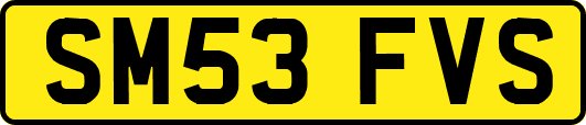 SM53FVS