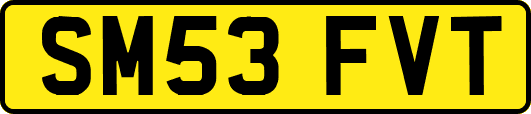 SM53FVT