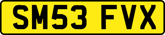 SM53FVX