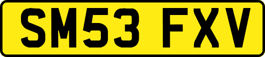SM53FXV