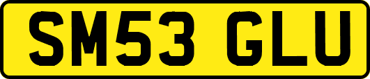 SM53GLU