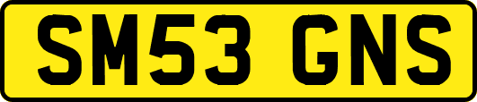SM53GNS