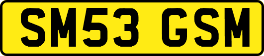 SM53GSM