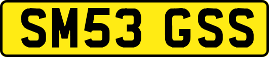SM53GSS