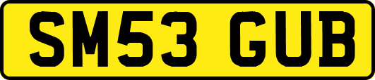 SM53GUB