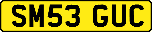 SM53GUC