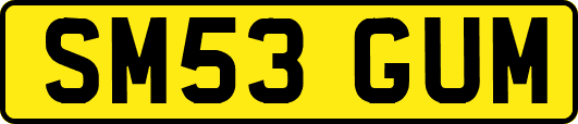 SM53GUM