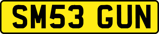 SM53GUN