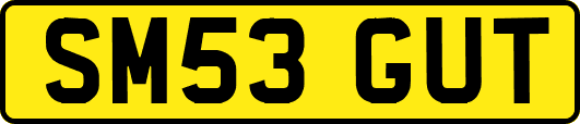 SM53GUT