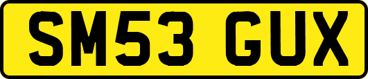 SM53GUX