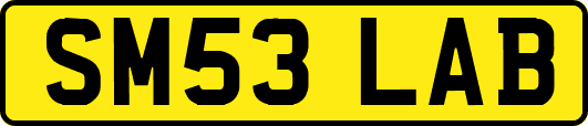 SM53LAB