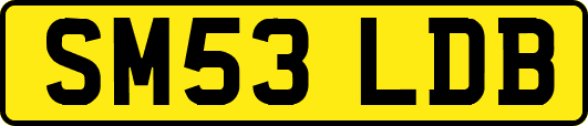 SM53LDB