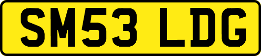 SM53LDG