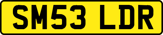 SM53LDR