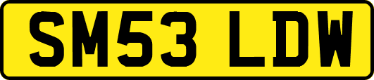 SM53LDW