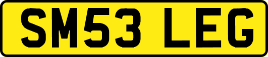 SM53LEG