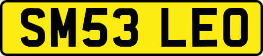 SM53LEO