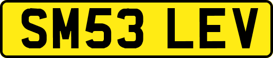 SM53LEV