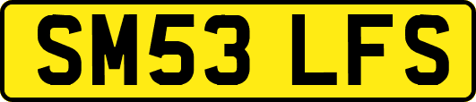 SM53LFS