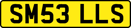 SM53LLS