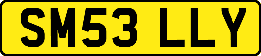 SM53LLY