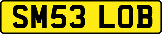 SM53LOB