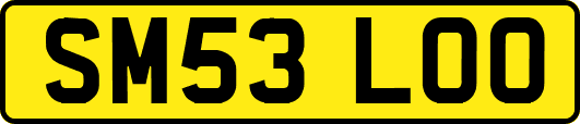 SM53LOO