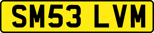 SM53LVM