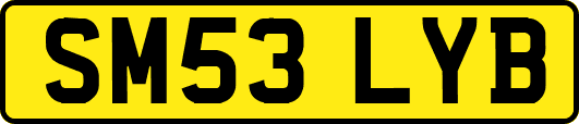 SM53LYB