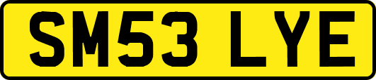SM53LYE