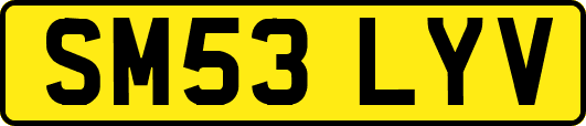 SM53LYV
