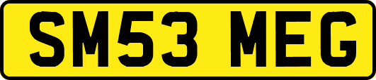 SM53MEG