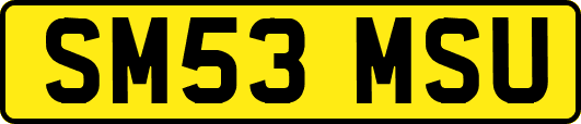 SM53MSU