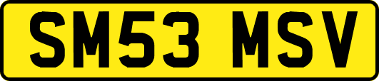 SM53MSV