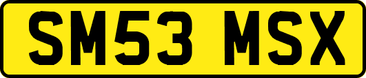 SM53MSX